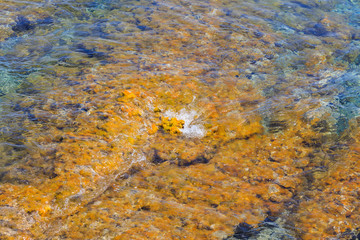 Colorful natural texture with blue sea and yellow rocks