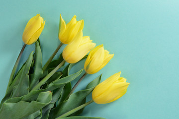 Naklejka premium Yellow tulips on a light turquoise background