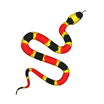 Vector 3d Illustration of Coral Snake or Micrurus Isolated on White