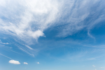 Cloud, look like a fenix, on the blue sky.