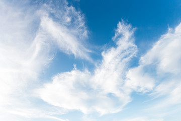 Naklejka na ściany i meble Cloud on the blue sky.