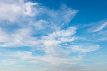 Cloud on the blue sky.