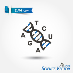 DNA icon ( Deoxyribonucleic Acid ) . Scientific vector .