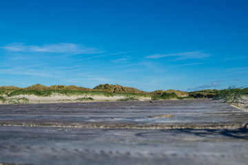 Nordsee, Strand und Dünen