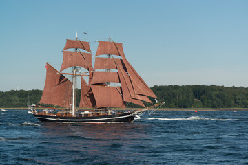 Traditionssegler  in der Innenförde Kiel