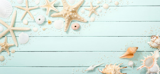 seashells on the wooden board, summer background