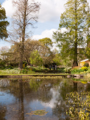 Fototapeta na wymiar A Beautiful Garden With Trees and Plants and Lake in the Spring in the Uk