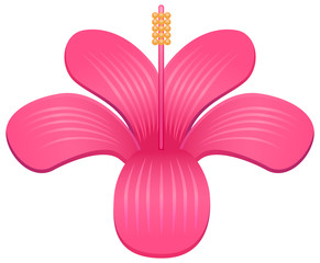 Gumamela or hibiscus pink flower vector icon