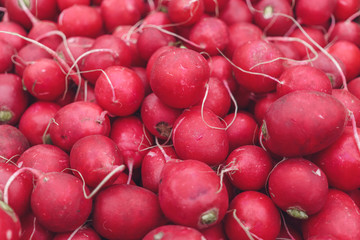 Red natural organic radishes