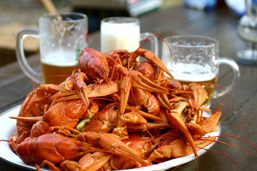 Boiled crawfish and three glasses of beer