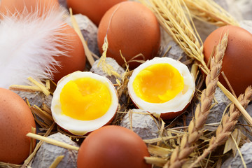 Eier