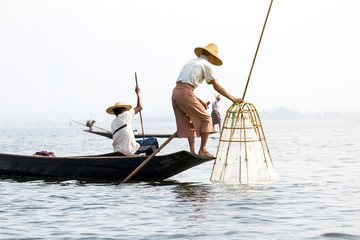Fishermen cash a fish with bamboo fish trap in Inle Lake, Inle, Shan State, Myanmar