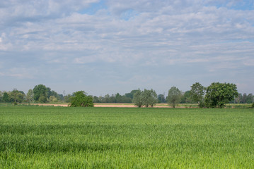 terreni agricoli