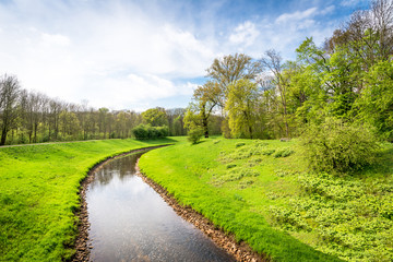 Fototapeta na wymiar Fluss mit Wald im Frühjahr, blauer Himmel