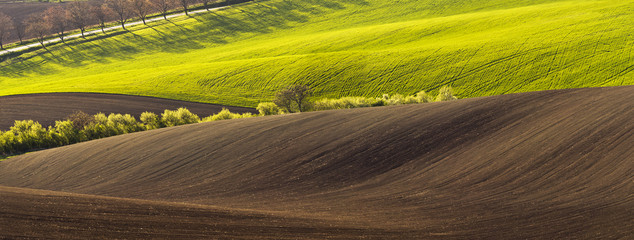 Spring landscape with field