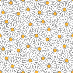 Seamless pattern of daisies.
