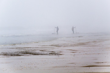 Do&ntilde;ana National Park