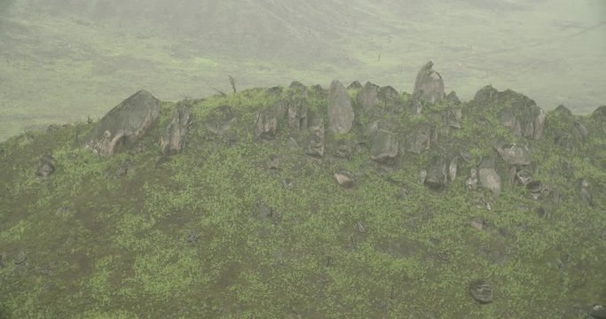 Lachay Hills (Peru)  of a ecosystem in desert with fog