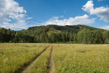 Pathway through the glade to the mountain