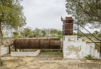 Fototapeta na wymiar Doñana national park