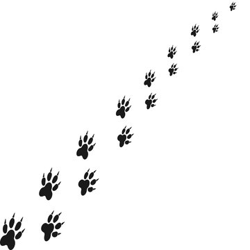Footprints of animal paw. Abstract vector. For web and mobile applications, illustration design, brochure, banner, presentation, concept poster, cover.