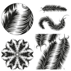 Seamless pattern of decorative animals feathers. Hand drawn vector art.