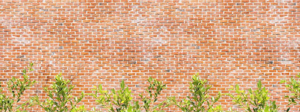 Brick Wall And Green Tree Background