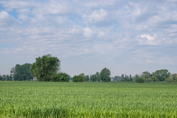 terreni agricoli