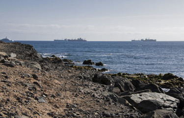 Sea coast. Background: some ships on the horizon.