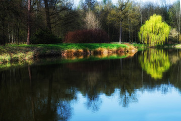 spring scene in the park, reflection in watrer
