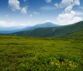 Mountain landscape in summer