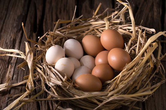 Chicken eggs in the straw in the morning light