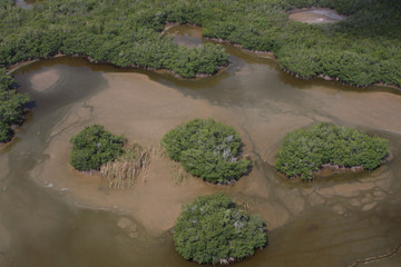 10,000 island. everglades national park