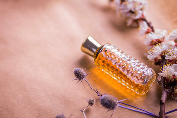 Bottles of perfume with ingredients