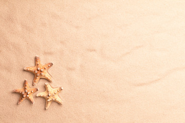 Fototapeta na wymiar Sea star fish on beach sand texture. Summer vacation background with copy space.