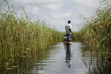 Mokoro Canoe Trip in the Okavango Delta near Maun, Botswana