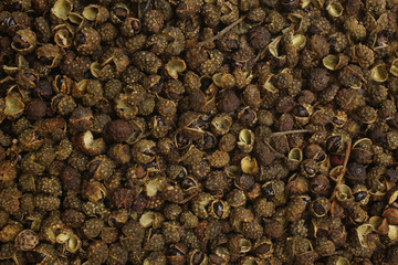 Sichuan pepper (Zanthoxylum piperitum), for backgrounds or textures
