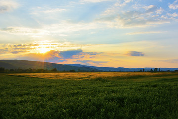 Fototapeta na wymiar Beautiful landscape with sunset clouds and field