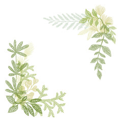 Fototapeta na wymiar Floral hand drawing, green leaf composition. Vector greenery branches isolated on white background. Floral border decoration elements for cards