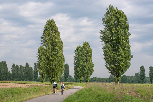 Bocciofilo Immagini Sfoglia 65 foto, vettoriali e video Stock Adobe