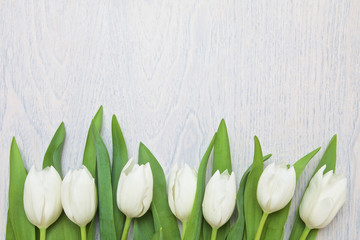 Obraz na płótnie Canvas white tulips on white wooden background