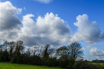 Fototapeta na wymiar cloudy day over field