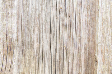 Obraz premium Old wood