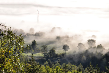 Obraz premium Mountain forest covered by morning fog