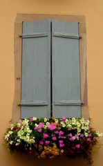 French Shutters