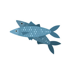 Vector flat style illustration of fish.