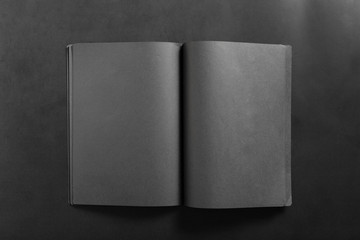 Mockup of blank book
