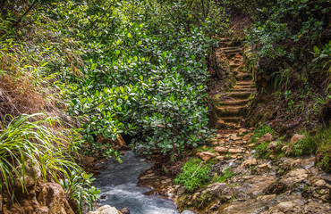 Dominica Boiling Lake Hike 