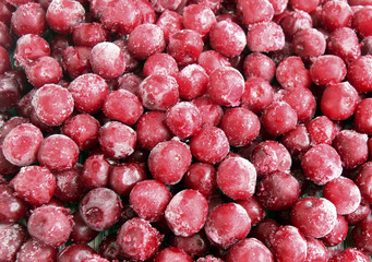 The frozen cherries. Natural products of the nature. Cherries are covered with hoarfrost..