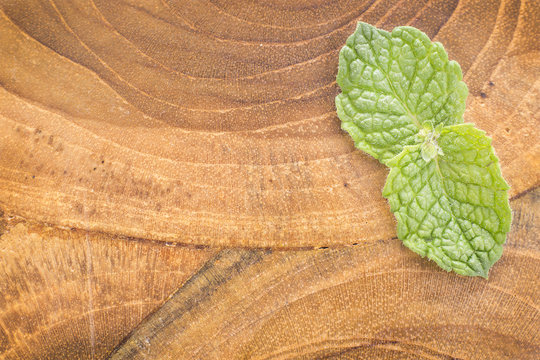 Mint leaves on the wooden background - Mentha spicata